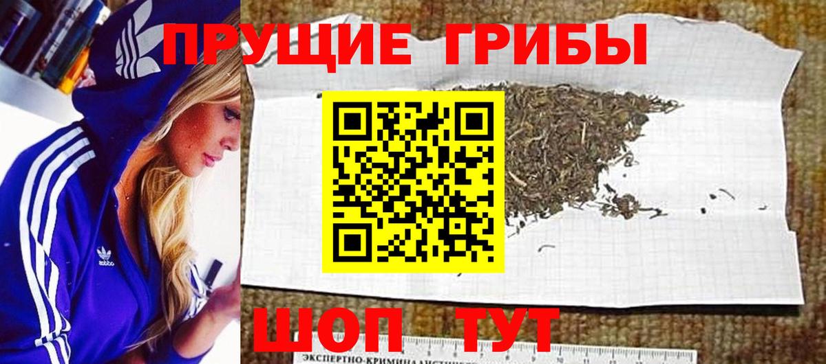 как найти закладки  Галлюциногенные грибы Magic Shrooms  Вход с VPN  Галлюциногенные грибы Cubensis  Зеленогорск 
