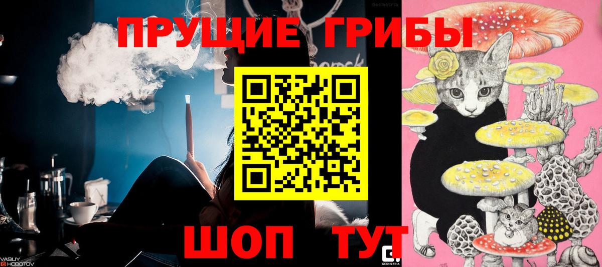 Псилоцибиновые грибы GOLDEN TEACHER Зеленогорск